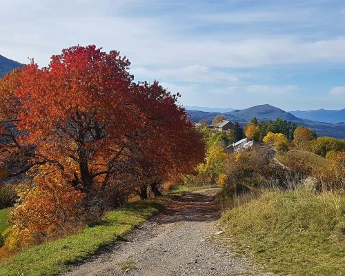 la coustille_chambres dhotes_automne (4)